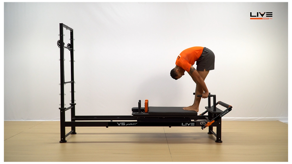 V5 REFORMER PLUS X